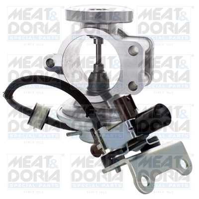 EGR Valve